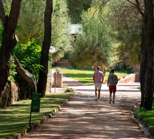 Facultad de Ciencias de la Vida y la Naturaleza