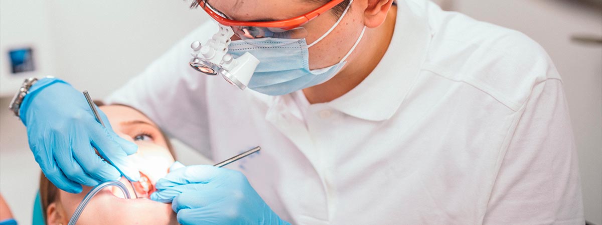 Bachelor's Degree in Odontology